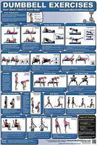 Educational Chart Dumbbell Exercises Lower Body Chest And Back