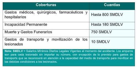 En algunas comunidades, como por ejemplo madrid o el país vasco, es obligatorio contratar el seguro. ¿Cuánto debo pagar por el Soat en 2021?