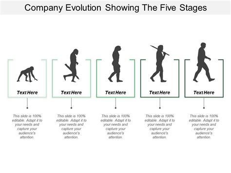 Company Evolution Showing The Five Stages Presentation Powerpoint