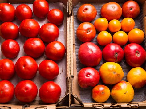 How To Store Tomatoes And Whether To Refrigerate Them