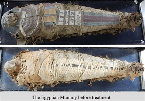 New Discovery About 2300 Year Old Egyptian Mummy