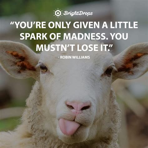 A Close Up Of A Sheep With A Quote On It