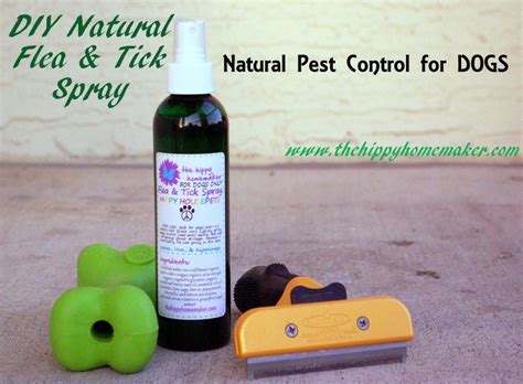 Diy Natural Flea And Tick Spray Flea Control Bug Control Insect Control