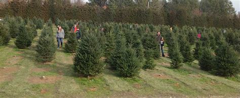 Christmas tree shop long island locations. Holiday Shopping on the East End of Long Island