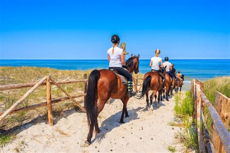 Horseback Riding In Myrtle Beach Sc Giddy Up Ocean Annies Resorts