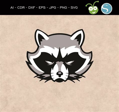 Download Raccoon Svg Trash Panda svg Cute Animal Vector Raccoon ...