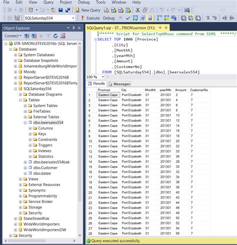 Sql Server And Bi How To Document Your Tabular Model With Excel Hot Sex Picture