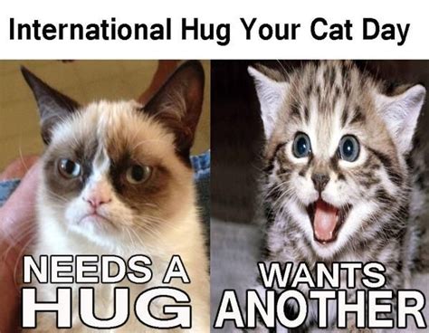 Make Sure To Celebrate International Hug Your Cat Day Cat Day Hug