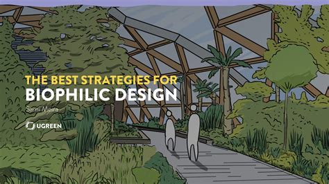 The Best Strategies For Biophilic Design
