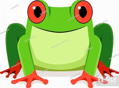 Red Eye Frog Front View Vector Design Stock Vector Vector And Low