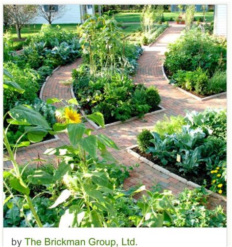 Kitchen garden or French style potager garden just outside the kitchen