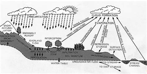 6th Grade Water Cycle Diagram For Kids - Aflam-Neeeak