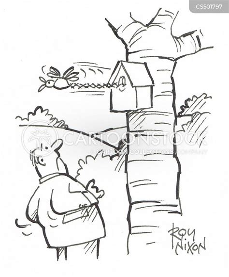 Bird Boxes Cartoons And Comics Funny Pictures From Cartoonstock