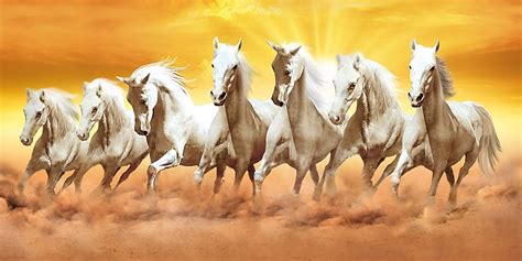 Seven Running Horse Wallpaper Free Download Lvandcola