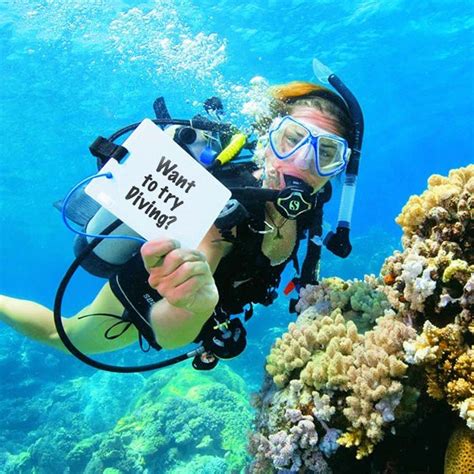 While not a certification course, discover scuba diving is a quick and easy introduction to what it takes to explore the underwater world. Discovery Scuba Diving with SDLL « Lebtivity