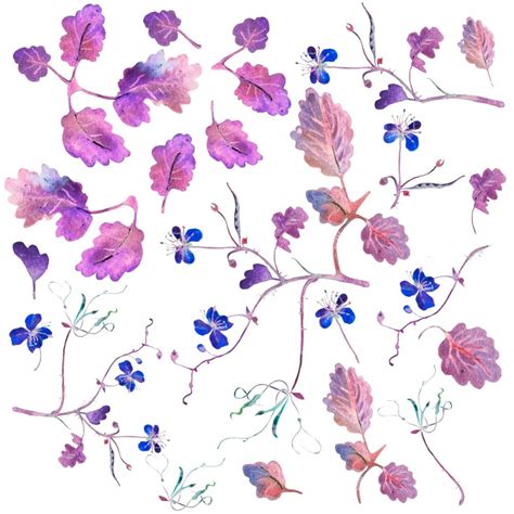 مجموعة ألوان مائية مع أوراق الشجر والزهور من الرسوم التوضيحية المائية