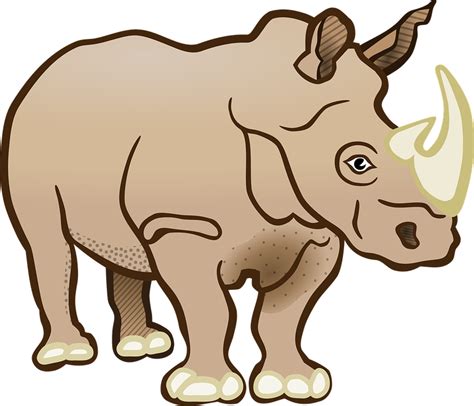 Collection Of Baby Rhino Png Pluspng