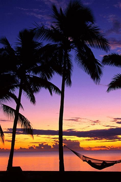 Palm Trees And Tropical Beach Wallpapers Wallpaper Cave