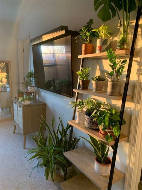 25 Creative Ways To Arrange Your Indoor Plant Shelf