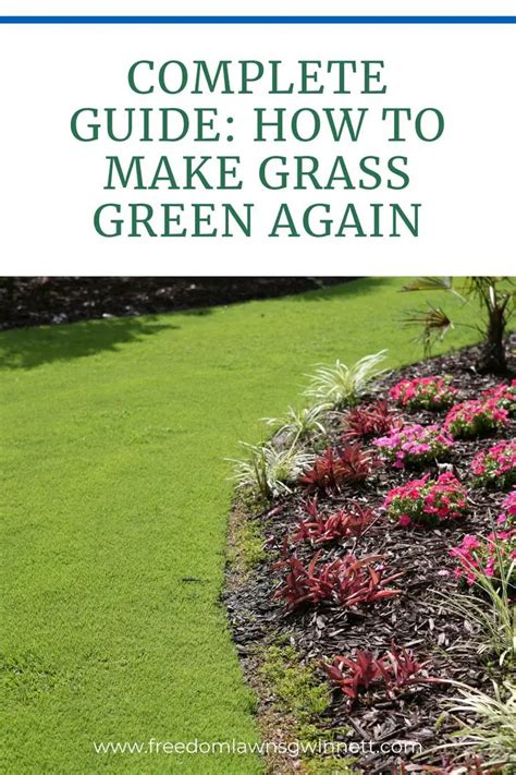 How To Make Lawn Green Again