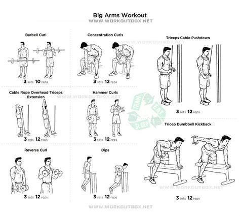 Big arm workout | Workout | Pinterest