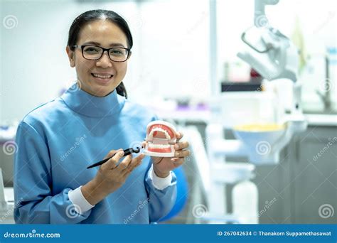 Asian Woman Dentist Doctor With Plastic Jaw Model In A Dentist Office