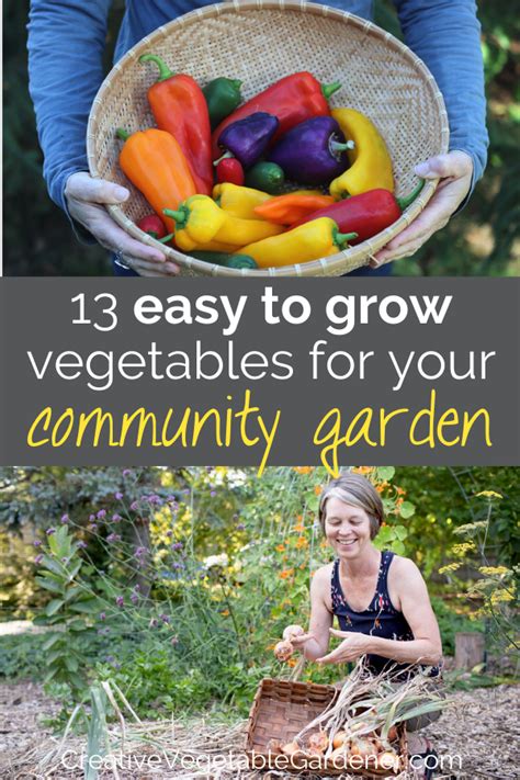 If You Grow Food A Community Garden Plot Here Are Some Special