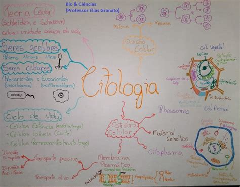 Biologia Com Imagens Estudo Das Celulas Citologia