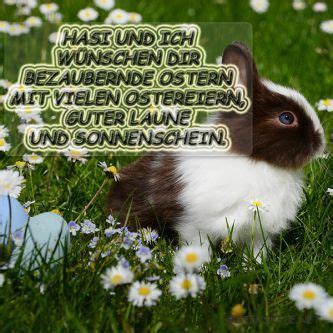 Zum fest der auferstehung christi wünsche ich dir, dass du dich wie neugeboren fühlst, um frisch und fröhlich in die warme jahreszeit zu starten! Osterbilder Whatsapp | Lustige osterbilder kostenlos ...