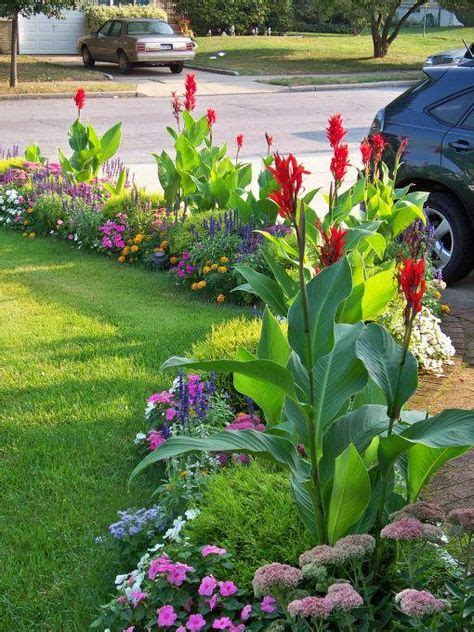 Love Cannas Colorful Border With Tropical Looking Cannas Adding Height