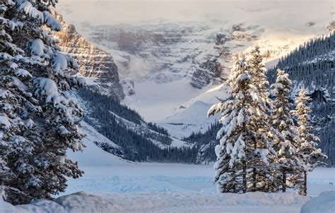 Wallpaper Winter Snow Trees Mountains Lake Ate Canada Albert
