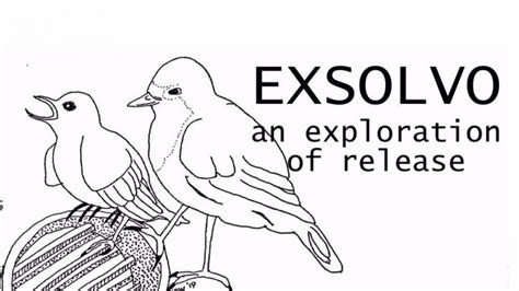 Exsolvo An Exploration Of Release A Music Crowdfunding Project In