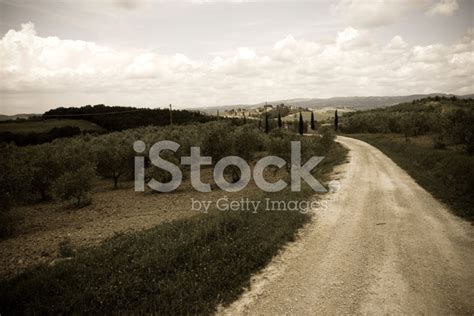 Path In Tuscany Stock Photo Royalty Free Freeimages