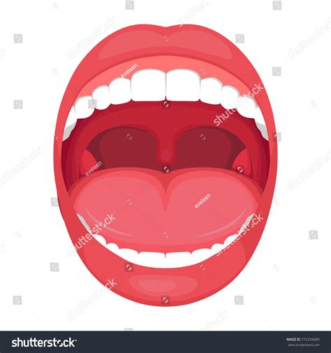 Vector Illustration Of A Anatomy Human Open Royalty Free Stock Vector