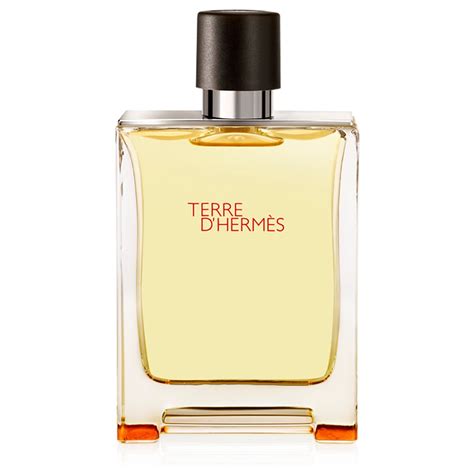 Buy Hermes Terre De Hermes Perfume For Men 200ml Eau De Toilette Online