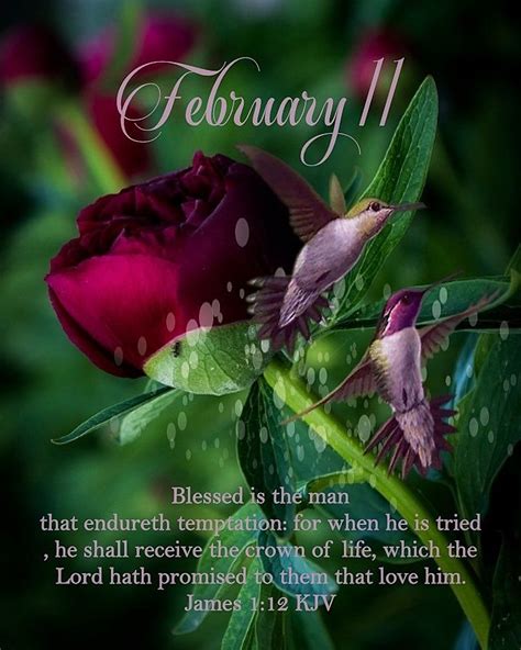Pin By Sharon Treguboff On Good Morning February Birthday Quotes