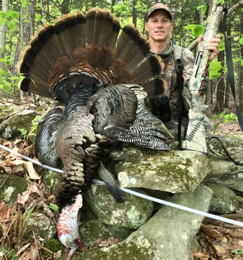 Where And How To Hunt Public Land Turkeys Field And Stream