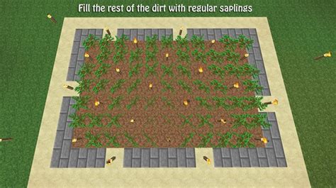 How To Build A Tree Farm In Minecraft For Easy Access To All Types Of