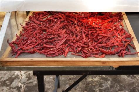 How To Dry Chillies At Home 3 Methods Uk