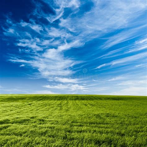 Blue Sky And Green Grass Scene Stock Photo Image Of Blue Meadow 9159034