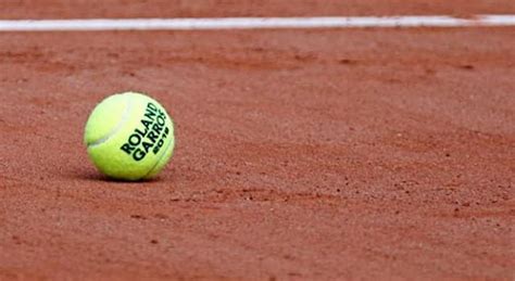 En qué faceta destacó Roland Garros Las Preguntas Trivia