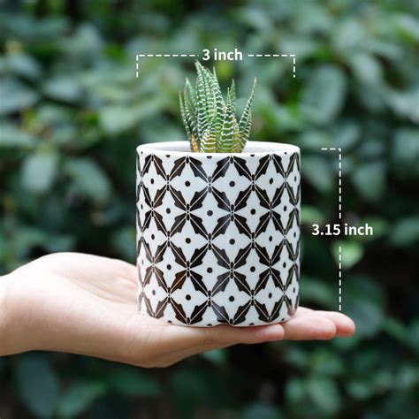 Greenaholics Succulent Plant Pots 3 Inch Cylindrical Ceramic Planter