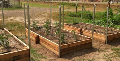 How To Build A Raised Garden Bed Grow Your Own Vegetables