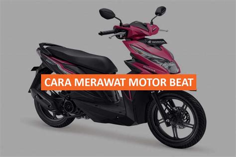 Cara Merawat Motor Beat Homecare24
