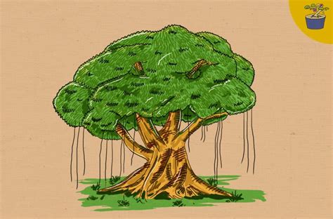 Pohon Beringin Sila Ke Lambang Lambang Pancasila Dan Artinya Dari