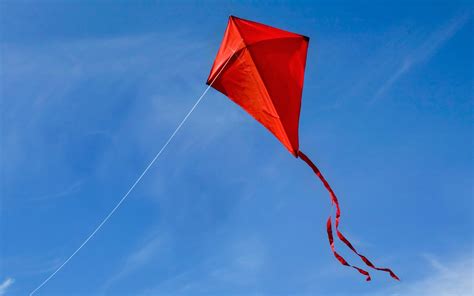 Indian Kites Flying