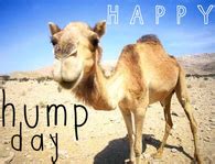 Wishing everyone a season of gladness, a season of cheer, and to top it all off, a. Humpday Pictures, Photos, Images, and Pics for Facebook ...