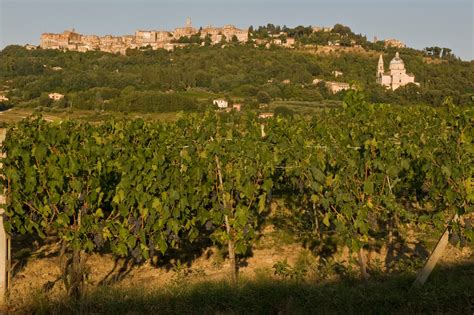 Nobile Di Montepulciano Wine And Valdichiana Senese Taste Trail Visit