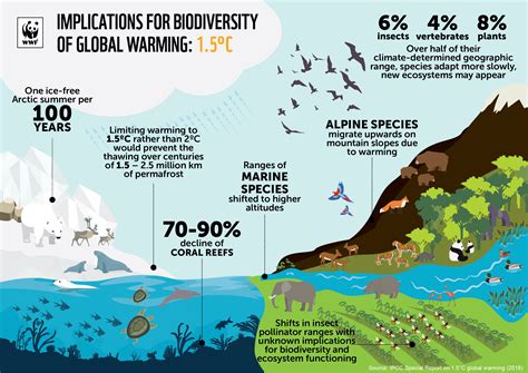 These changes affect the biodiversity of communities, particularly in the polar regions of the planet. COP 24 | WWF