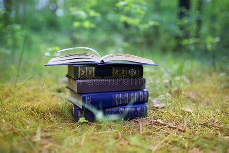 Abra Los Libros Al Aire Libre El Conocimiento Es Potencia Reserve En Un